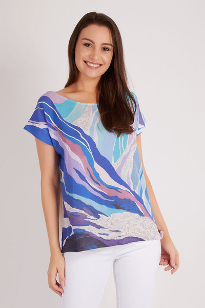 The Last Snow Melting In The Blue Mountain