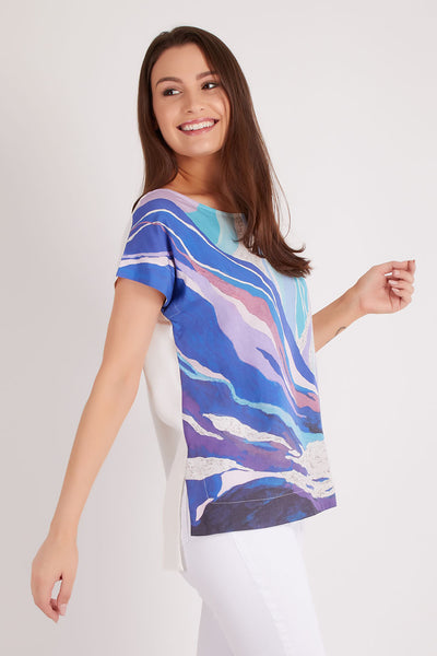 The Last Snow Melting In The Blue Mountain