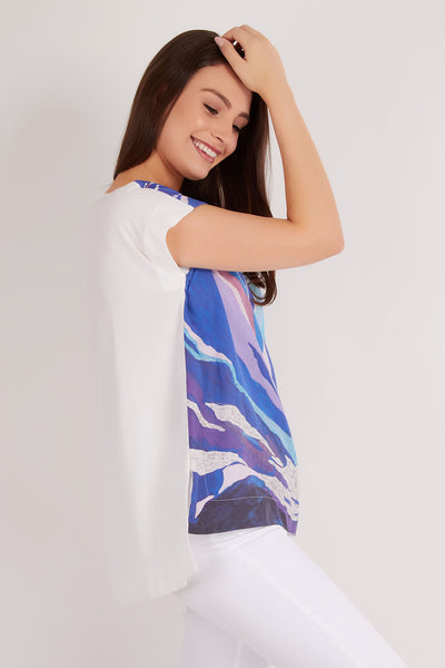 The Last Snow Melting In The Blue Mountain